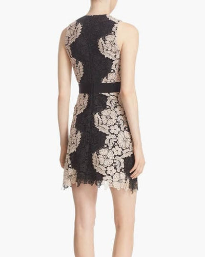 Alice + Olivia Clothing XS | US 0 "Patrice' V-Neck Lace A-Line" Dress