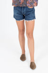 Citizens of Humanity Clothing XS | US 25 Denim Shorts