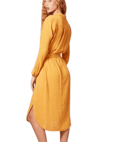 XíRENA Clothing XS Belted Midi Shirt Dress